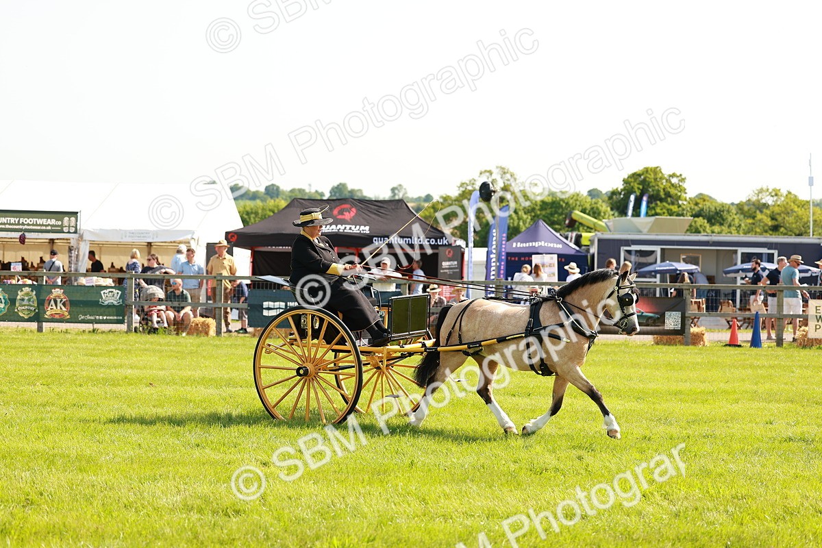 SBM_02578 - Class 2-4 - HOYS Private Driving