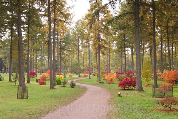  - Autumn