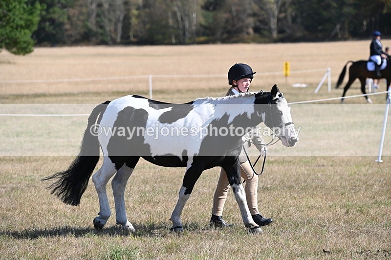 WJ6_7422 - Class 34 Judges Choice