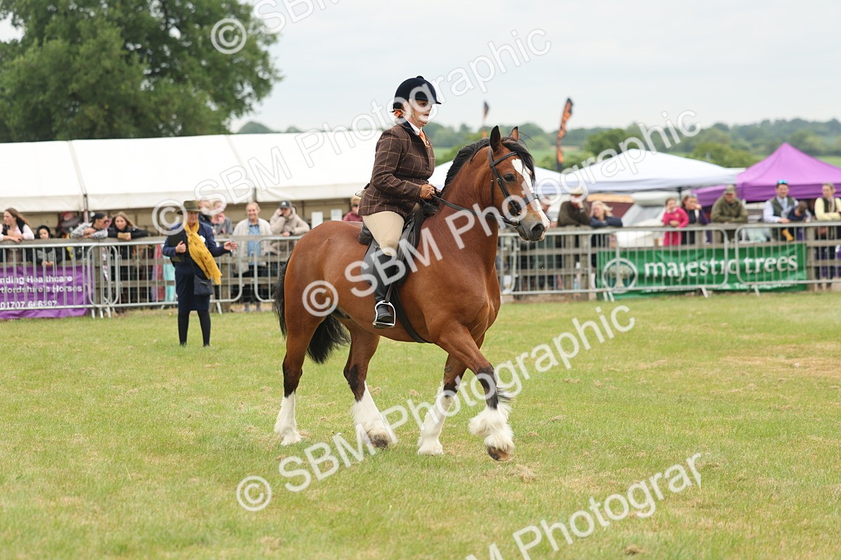 SBM_07196 - Class 76-77 - Ridden M&M Welsh Ponies