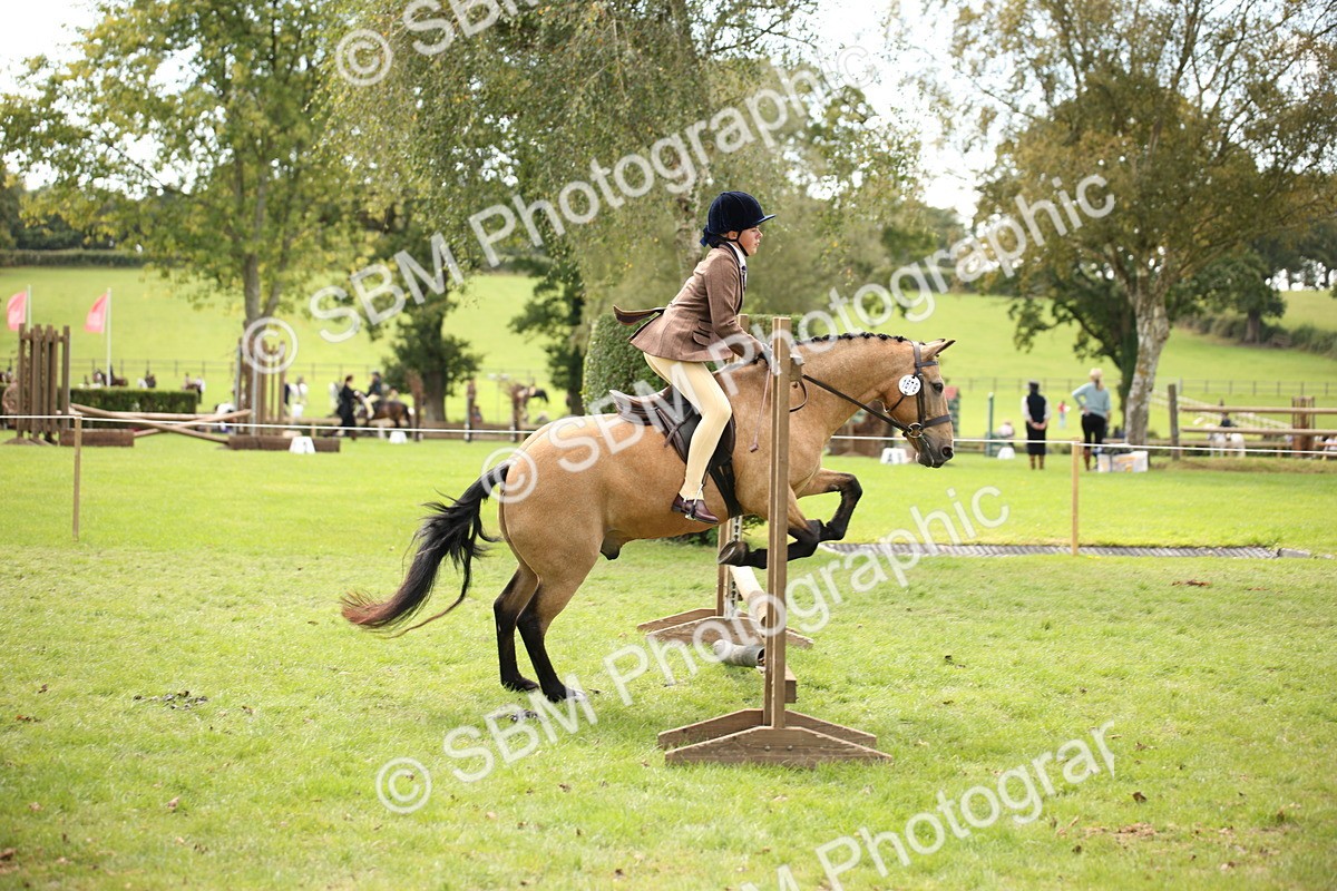 SBM_42342 - S13 - Pony Club Pony