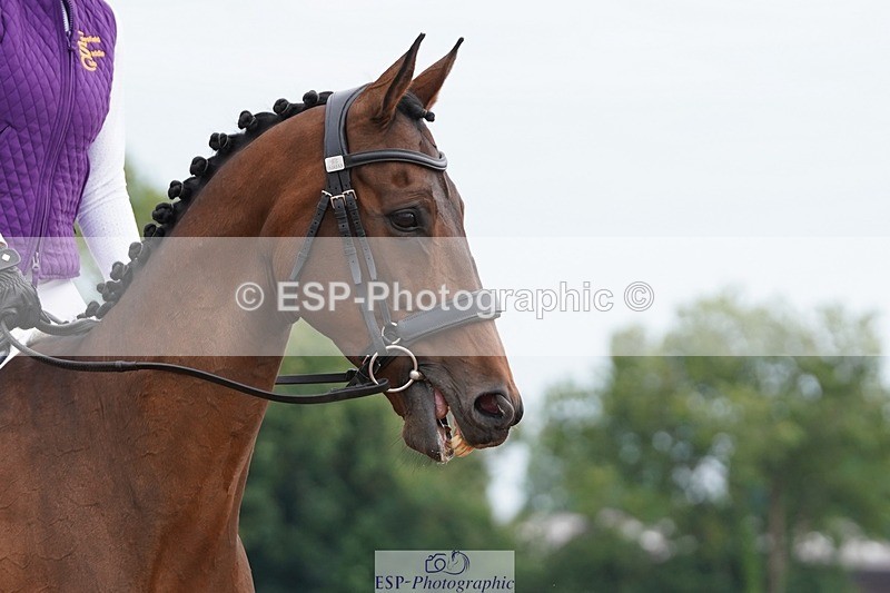 250621-092958-05532 - Quest Cls 1-5, Intro All