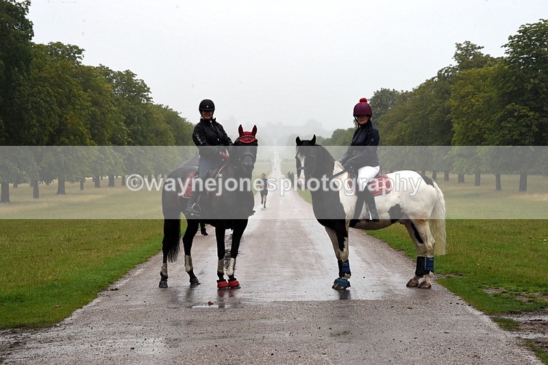 TT3_8430 - Time at Crossing 10:16 to 11:38