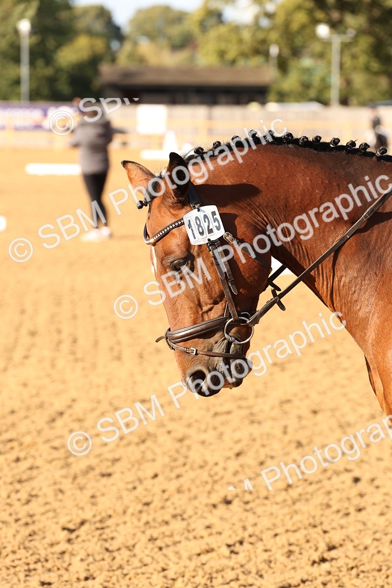 SBM_52748 - D12 - Small Tour Championship prelim 2