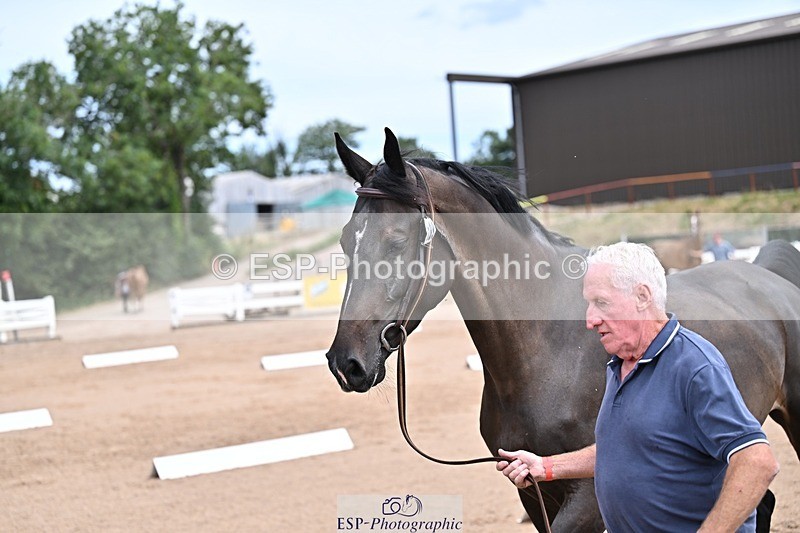 250716-130702-00343 - Trot Up 12.30 to 1.30