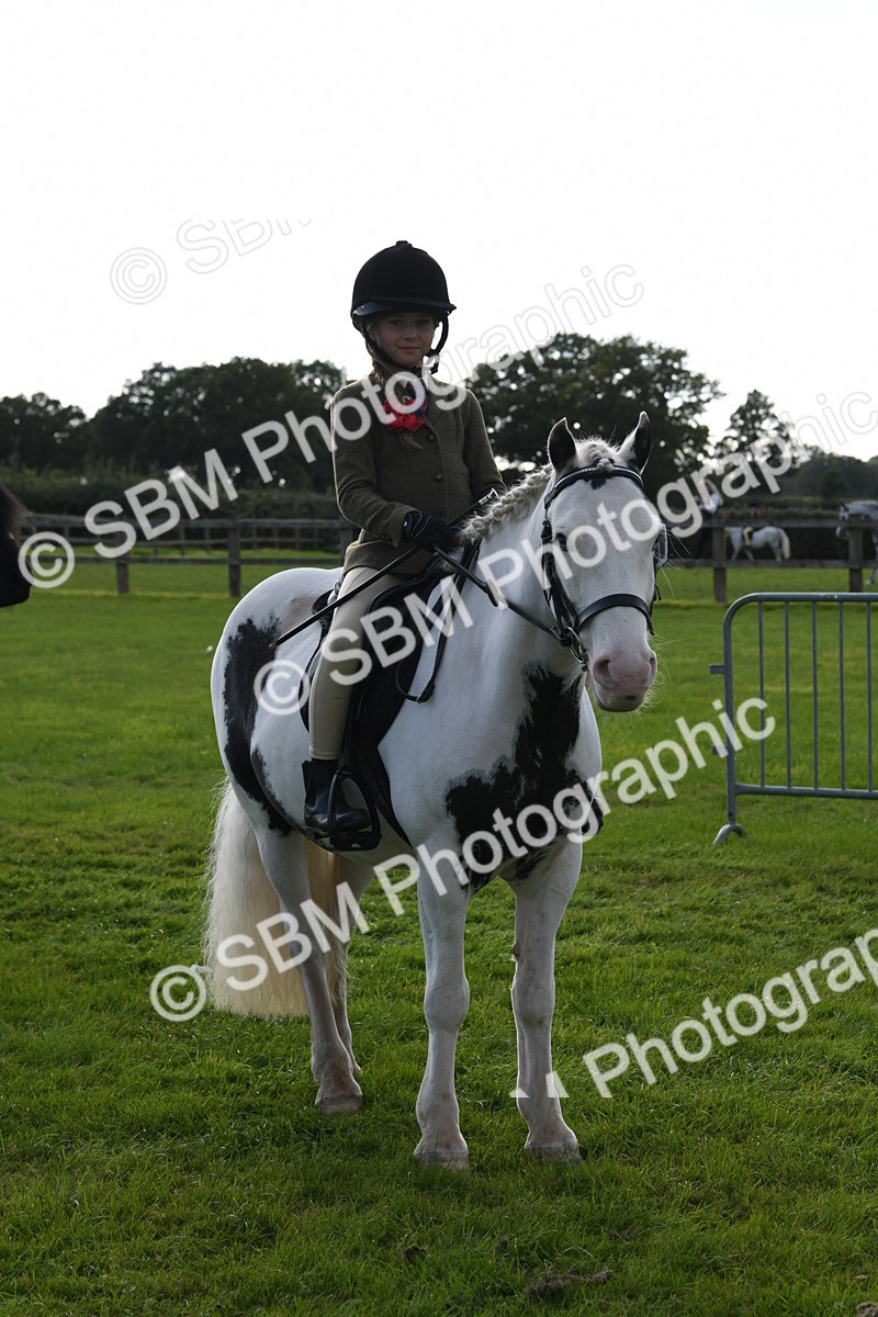 SBM_52015 - S21 - Novice & Newcomers 1st Ridden Pony