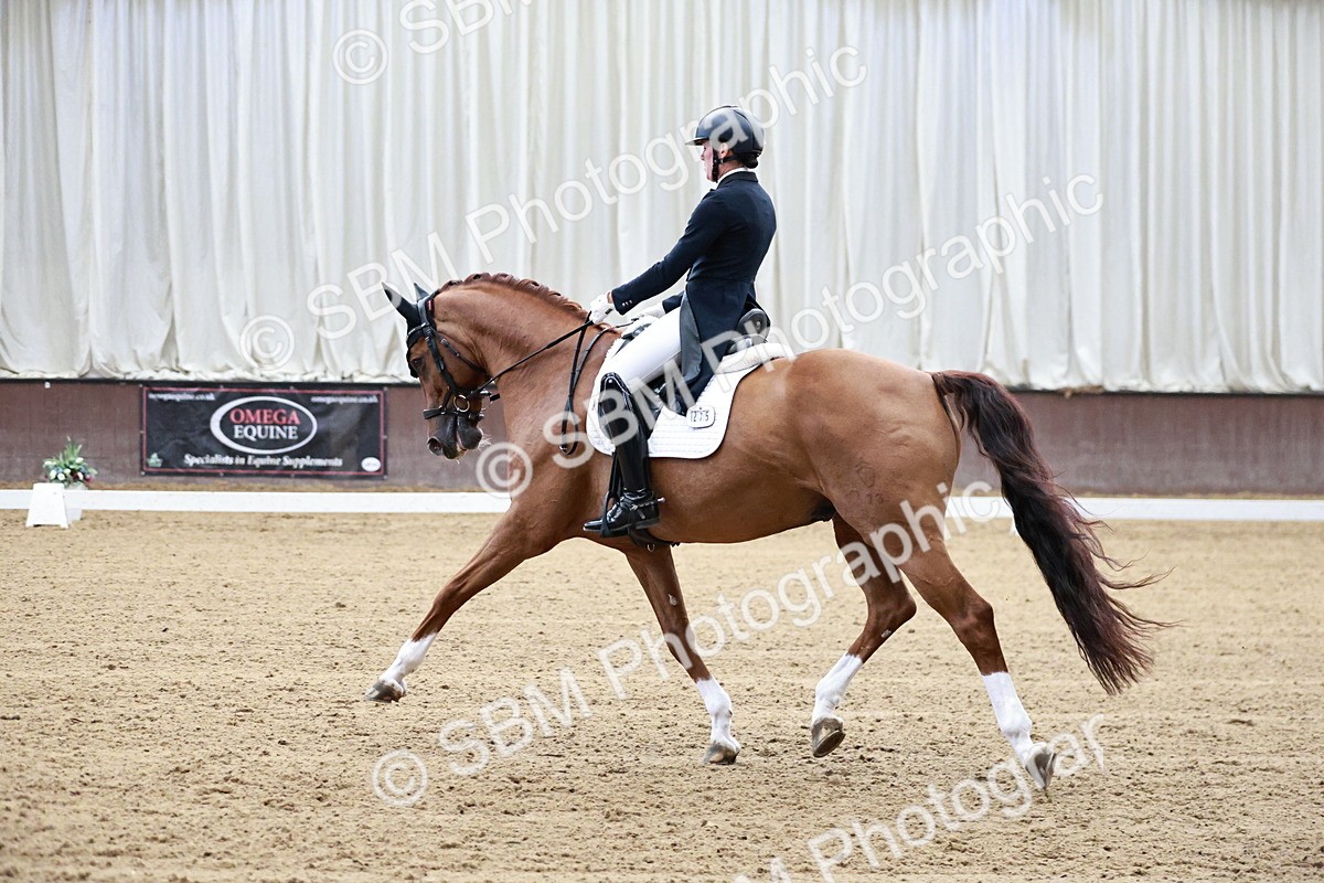 SBM_005619