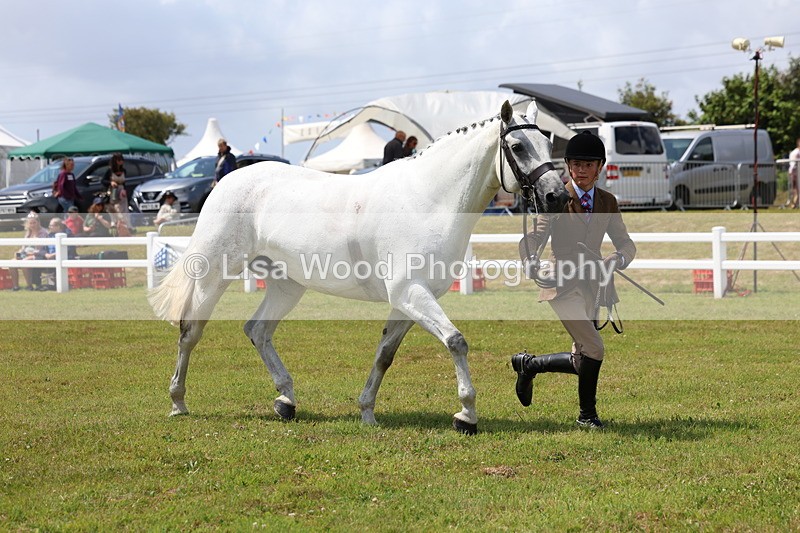 3E7A1628 - Class 9: Open Hunter