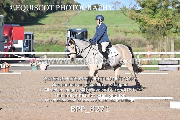 BPP_8271 - SHORT ARENA INTRO 1