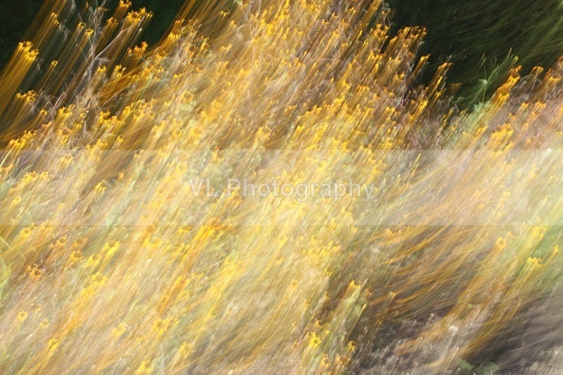 Flight - ICM