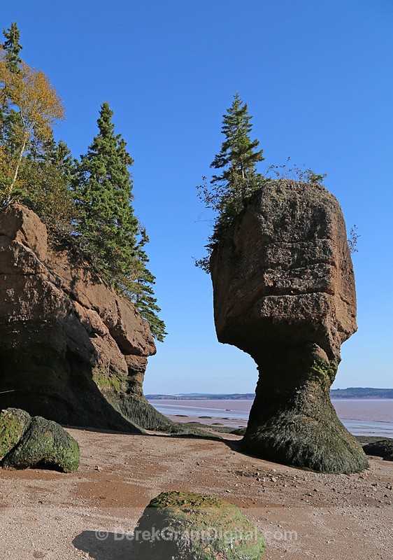 The Rocks @ Hopewell Cape - 5 - The Rocks @ Hopewell Cape