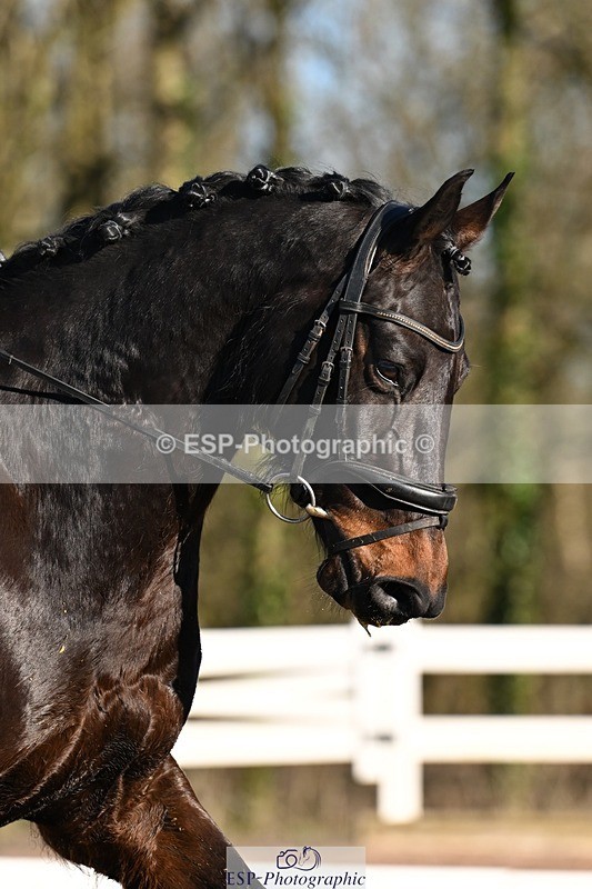 260214-100513-03397 - 032-Lucie.Stokoe