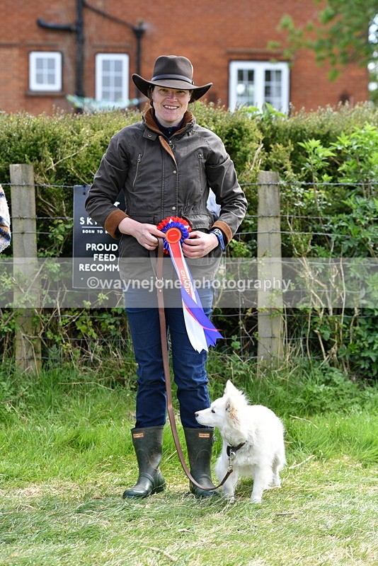 WJ5_0826 - Best in Show Championship