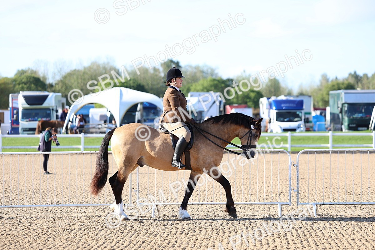 SBM_08712 - Class 302 - Ridden M&M - Large Breeds
