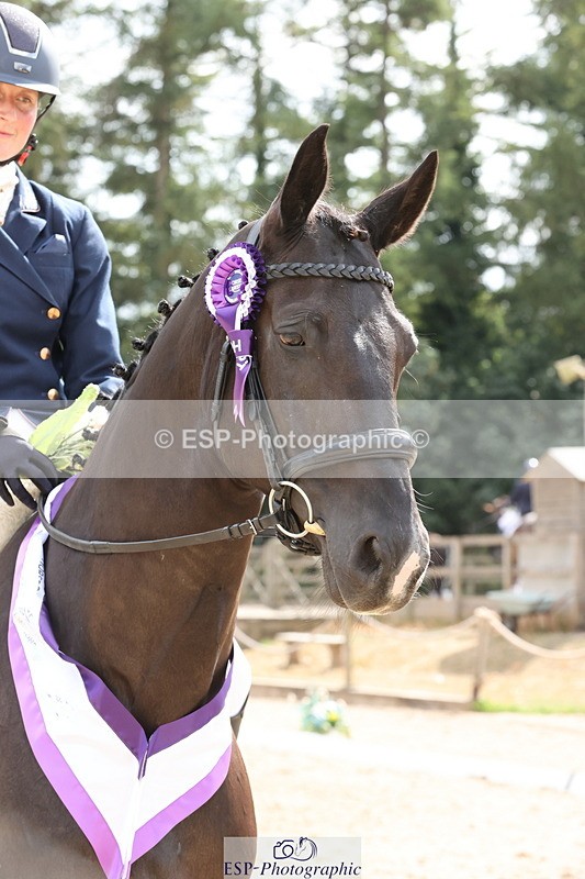 250809A-155430-04668 - Elementary SILVER Presentations