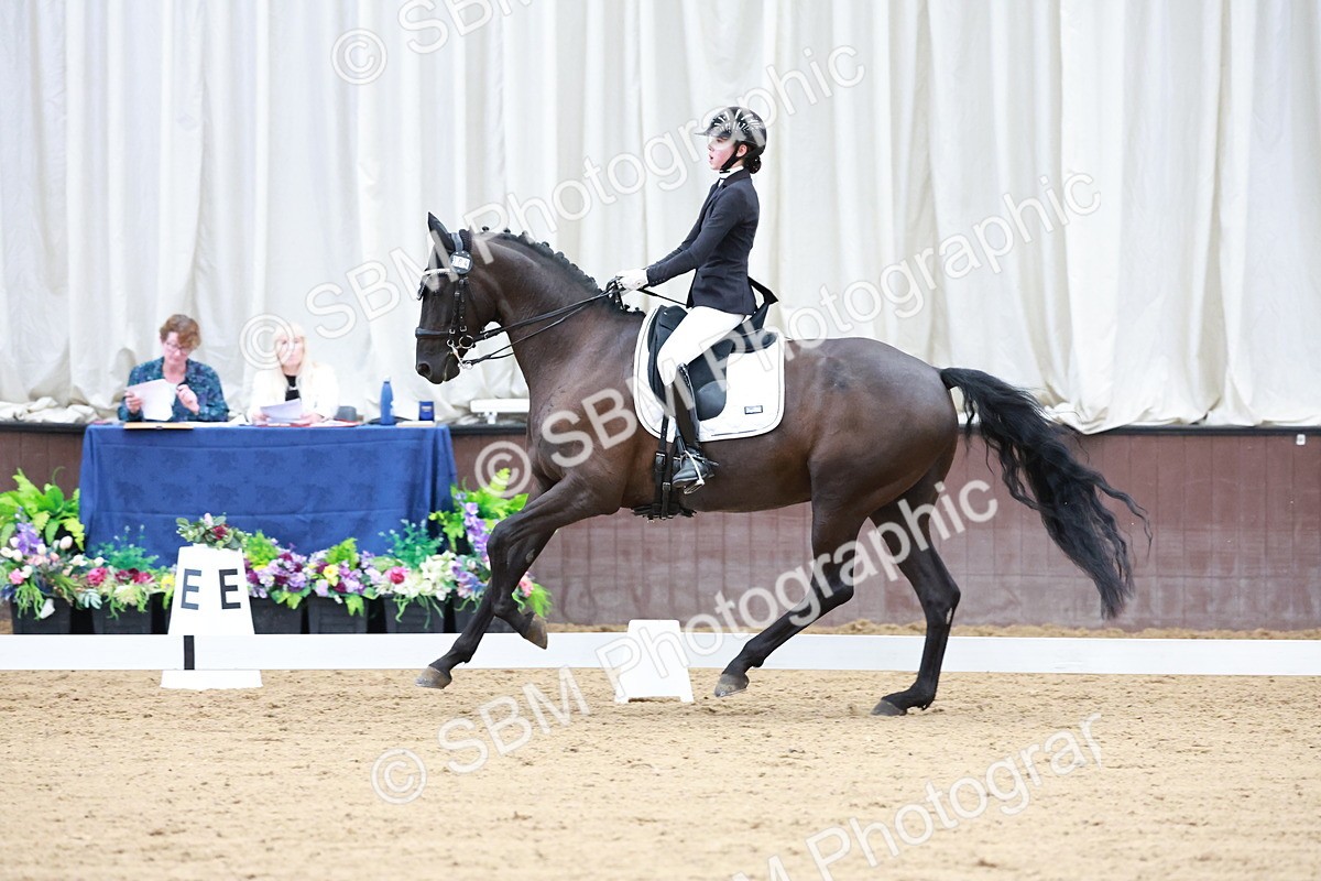 SBM_017767 - Class 15 - FEI Junior
