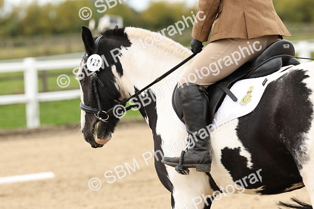 SBM_004500 - Class 69 - Novice 2