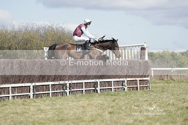 PtP 260223 467 - South & West Wilts Point-to-Point Larkhill 26/02/23