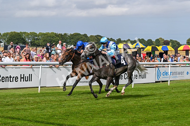 140824-Race 5-Havana Blue-6689 - Race 5