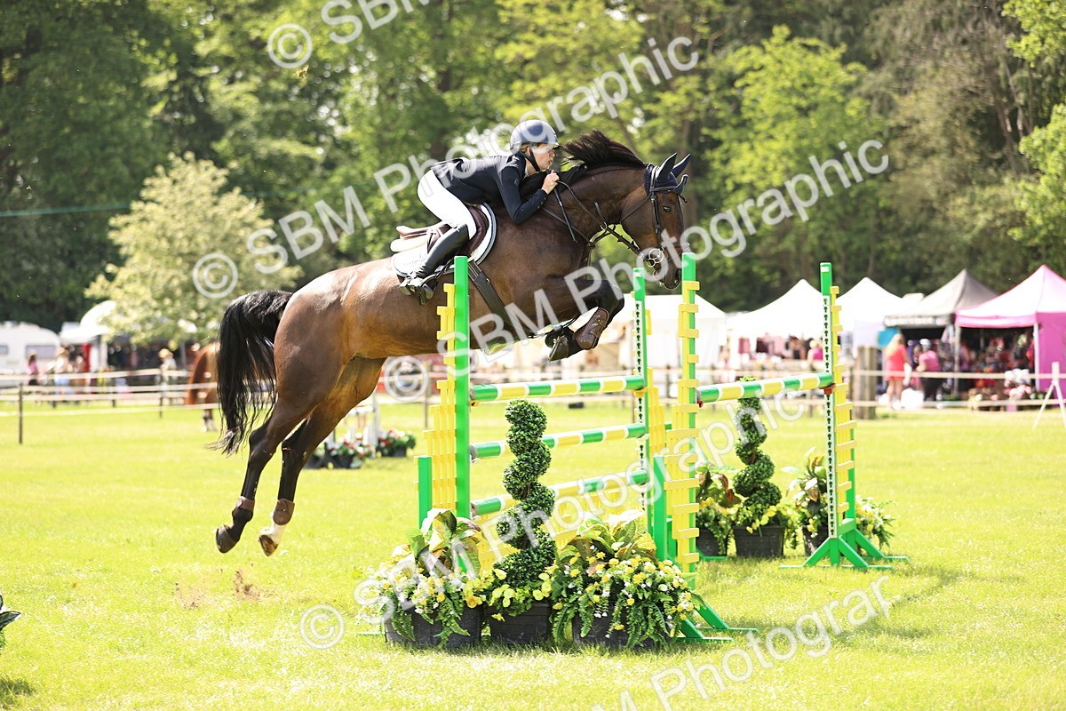 SBM_03129 - Class 201 - British Horse Feedds Speedi Beet HOYS Grade C