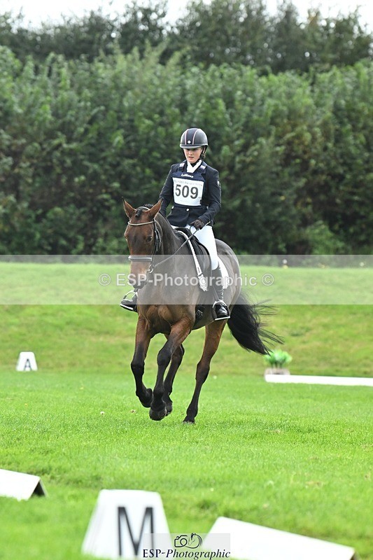 241024-114603-03312 - 509-Tichy.Sanders-SPARHANGER.VELVET