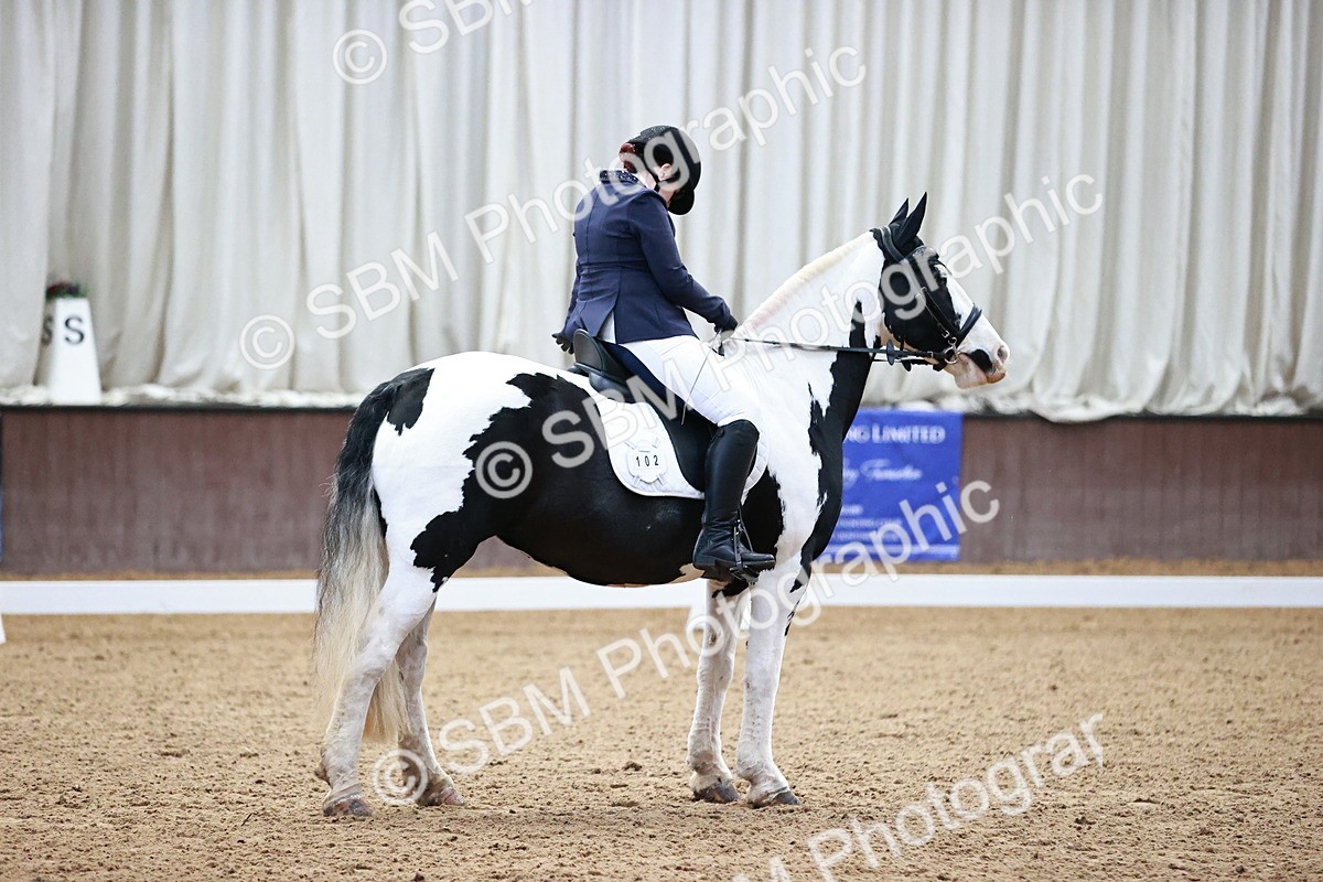 SBM_000096 - Class 3, 4, 8, 10 Intro 3 Prelim 3 Novice 2