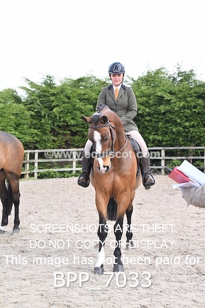 BPP_7033 - RING 1  (RIDDEN HORSES / IN HAND / VETERAN ETC)