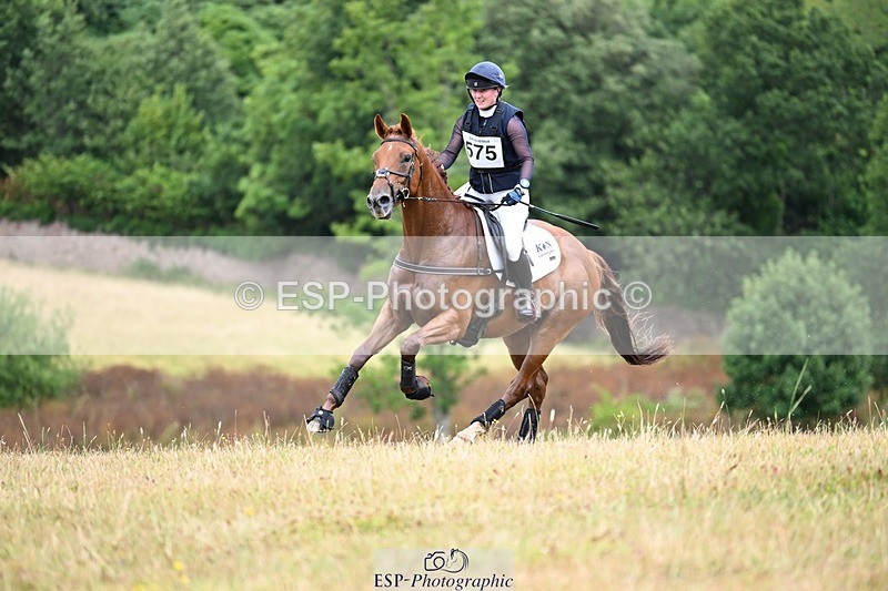 250803A-131747-13620 - M-575-Libby.Seed-WHISPER.A.WISH