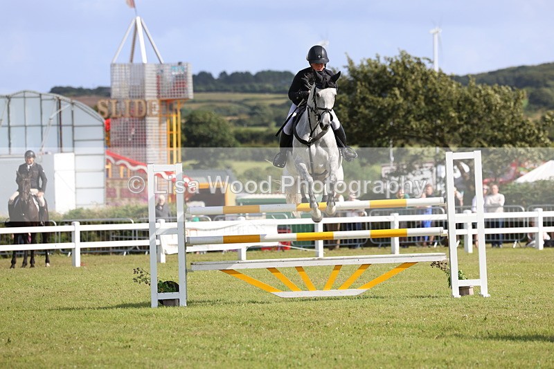 3E7A3474 - Class B: Showjumping Accumulator