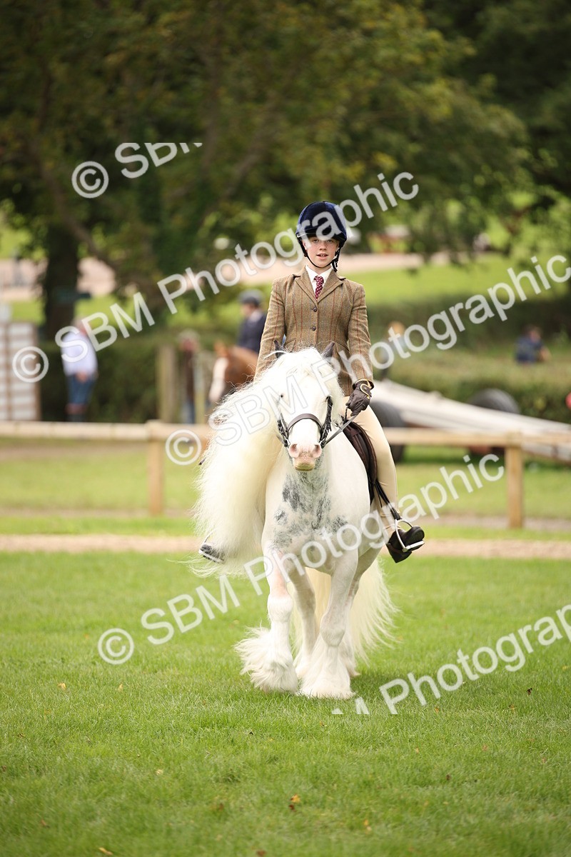 SBM_73486 - S68 - Traditional Cob Ridden