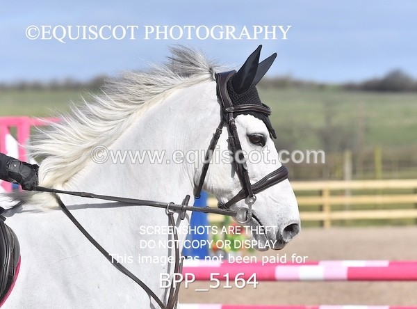 BPP_5164 - CLASS 2 Club/ Unaffiliated 80cms Open