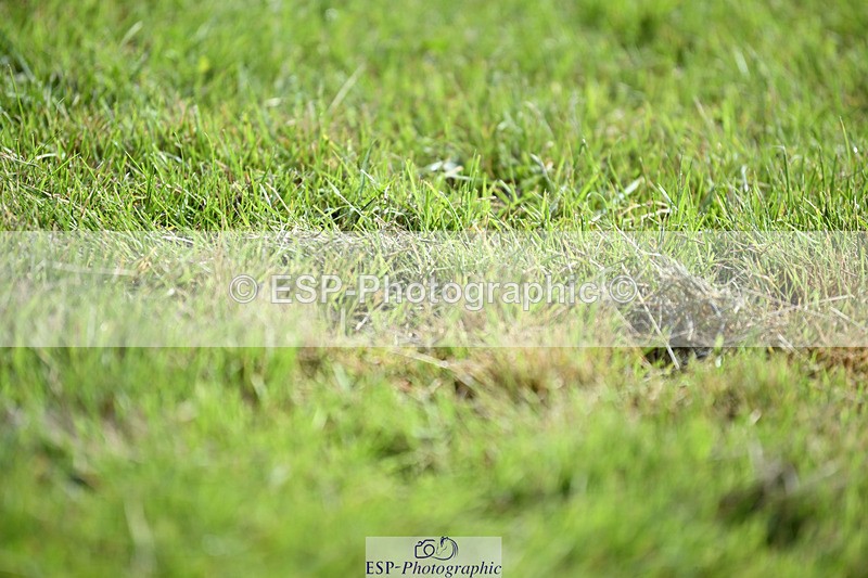 240824X-115924-26141 - D80 Section E and F 11.00 to 12.00