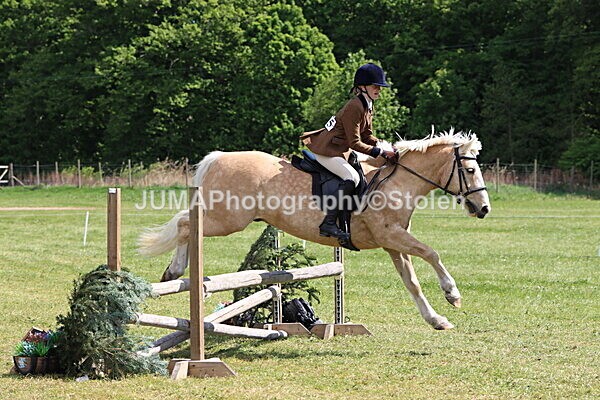 IMG_4239 - Working Hunter