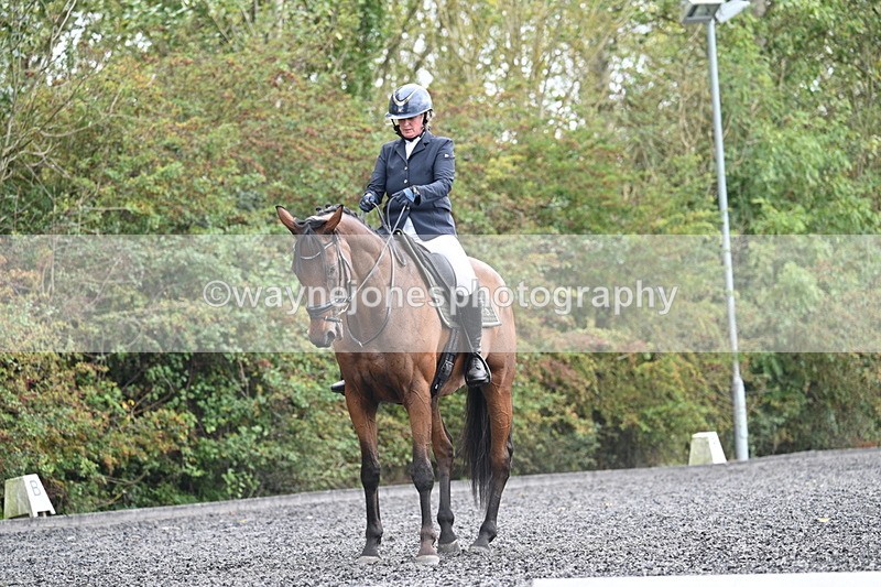 WJ7_6178 - Time 14:10 to 14:45