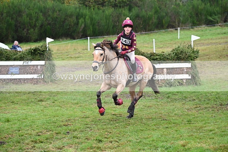 WJ6_2485 - 80cm Cam 1 Time 11:23 to 12:04