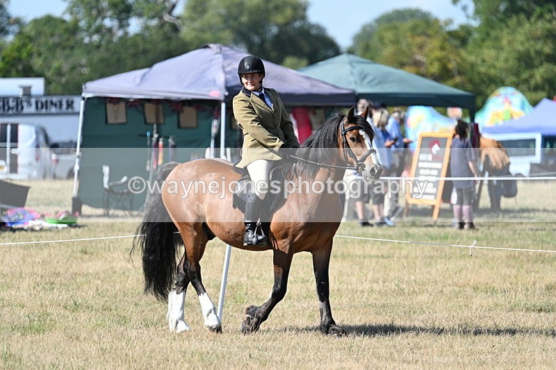 WJ7_3575 - Class 9 Mountain & Moorland Ridden