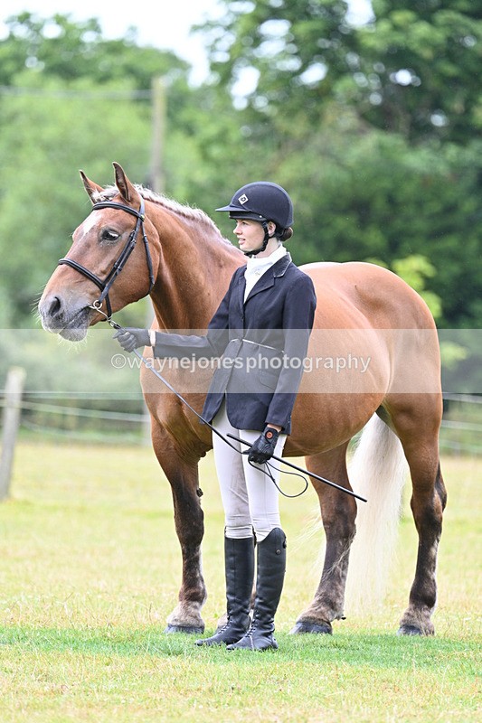 WJ7_6341 - Class 4a Prettiest Mare over 14hh