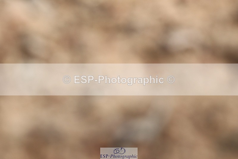 250622-102823-13964 - Cls 47 Novice 5, Start to 11.30am