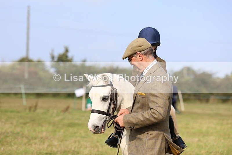 3E7A3696 - Class 2: Lead rein