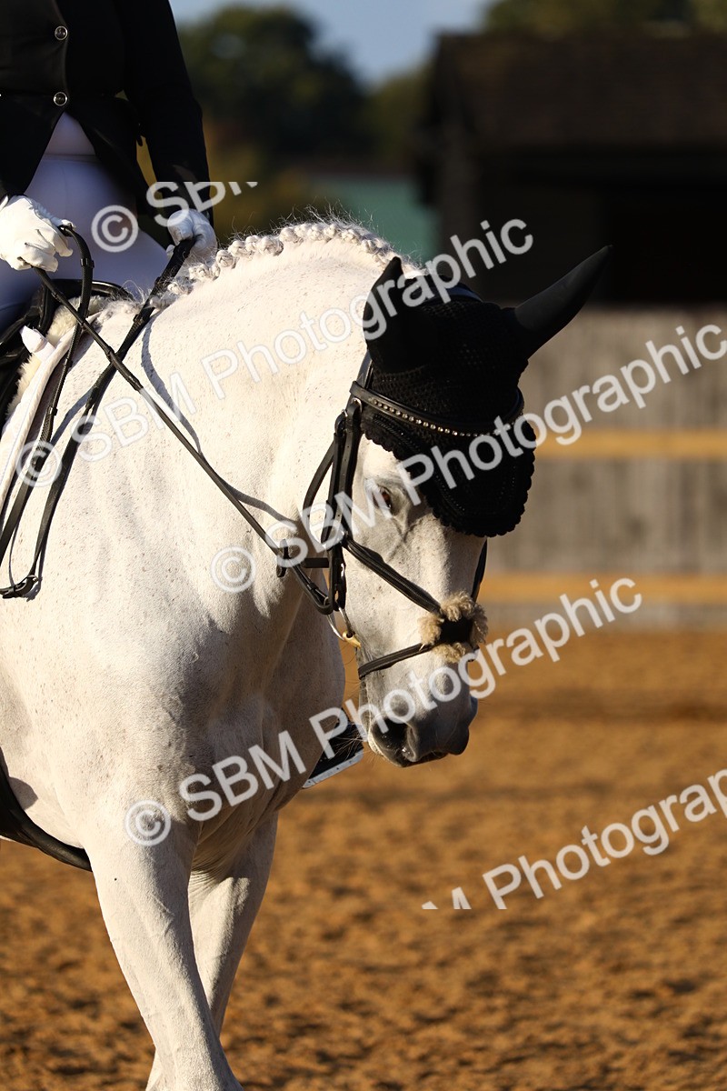 SBM_31749 - D11 - Small Tour Championship Prelim 1