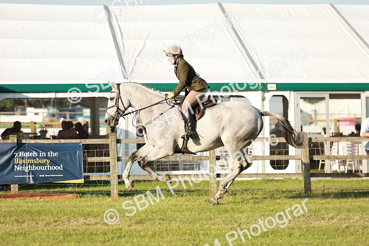 SBM_20498 - Class 117-119 - Sport Horse Working Hunter