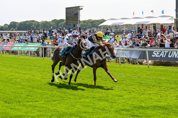 130625-Race 2-Carnation Queen-8646 - Race 2 2.25pm Coopers Marquees Rous Selling Stakes