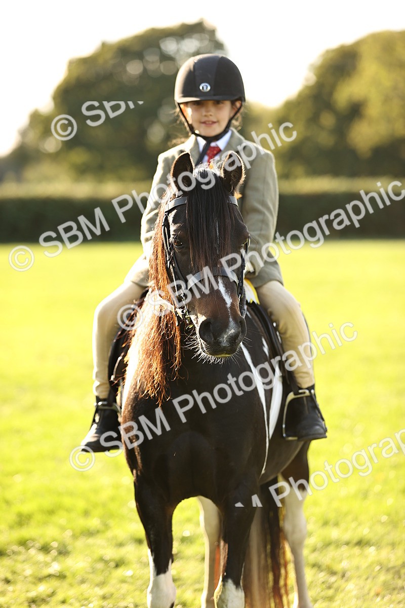 SBM_29505 - S7 - Novice & Newcomers Ridden Pony