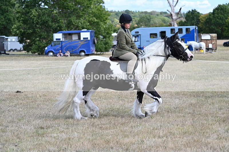 WJ7_6820 - Class 14 Ridden Coloured