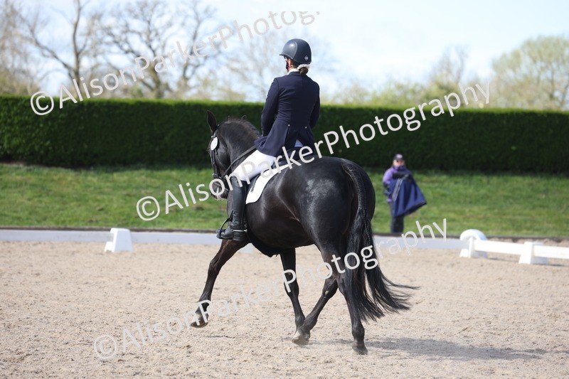 20260405-0522 - Class 6 - Elementary 6