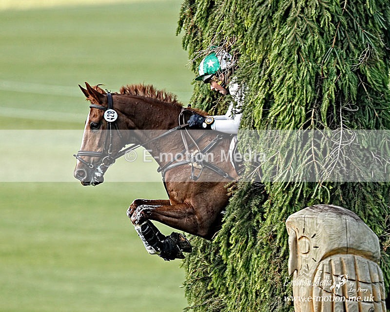 _LEZ7338w - Equestrian