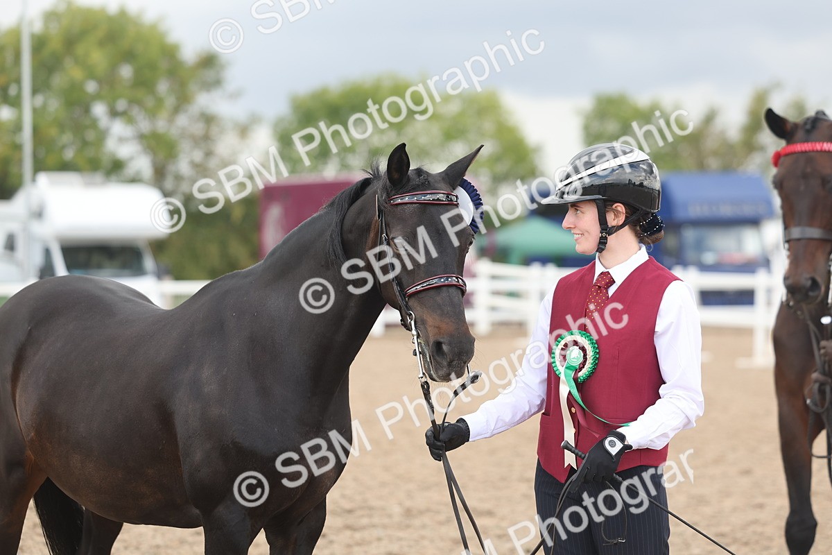 SBM_06922 - Class 25 - IH Foreign Breeds - Purebred