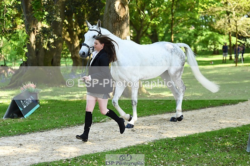 230524-161452-00788 - 259-KATE_BLUE-Millie_Juleff-WEDTrotUp+DR