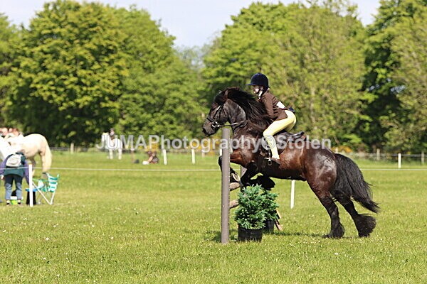 IMG_4300 - Working Hunter