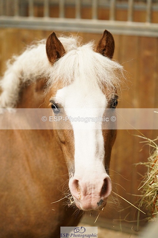 240809A-134748-01027 - Stable Shots